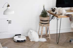Is the ECOVACS N10 the best robot vacuum for pet owners?